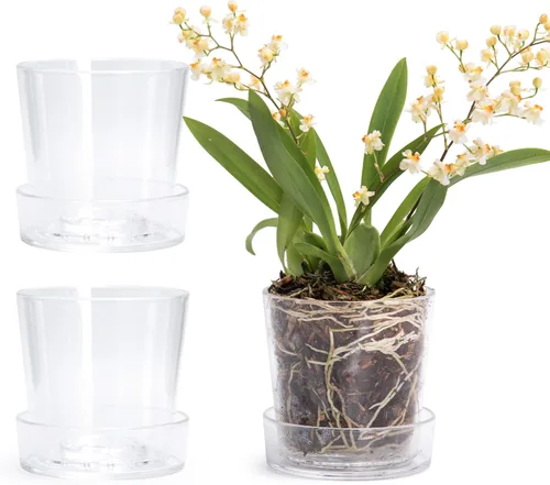 Vista 24 de Maceta Phoenix Vine de 3.5 pulgadas de acrílico transparente con bandeja, maceta para orquídeas con agujeros de drenaje, platillo profundo