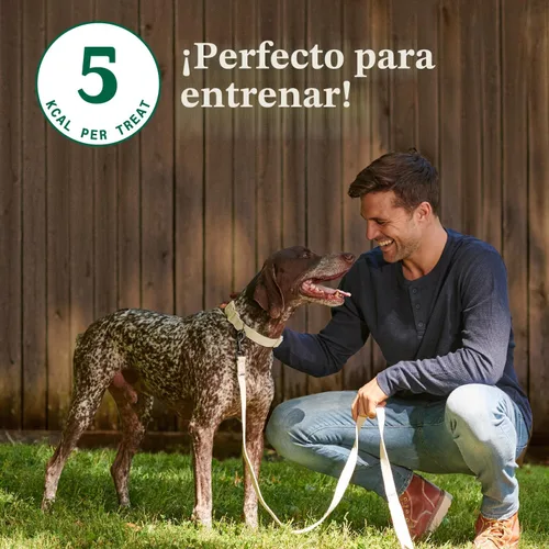 Vista 3 de Nutro - Golosinas crujientes para perros con manzana real, 10 onzas