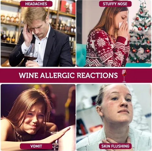 Vista 2 de Filtro de vino, paquete de 12 filtros de vino para histaminas y sulfitos, sulfito de vino e histamina, evita alergias al vino y dolores de cabeza