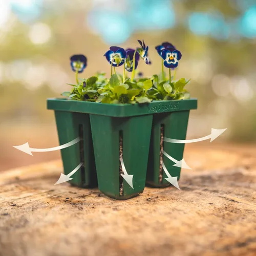 Vista 4 de Vego garden Seedling Suite Products, paquete de 8 bandejas de plántulas jumbo con tapas de bandeja de plántulas y bandejas de riego inferiores de 10