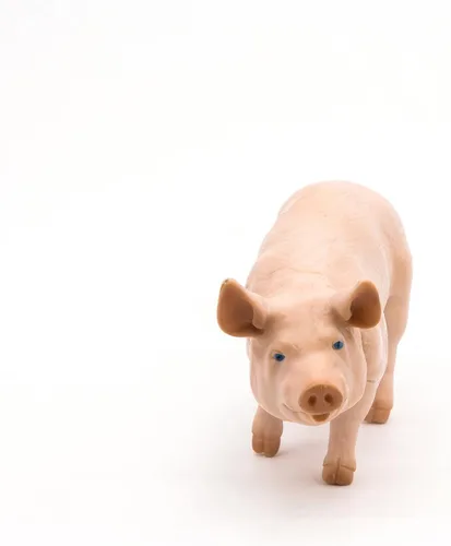 Vista 7 de Papo - Figura realista de jabalí - A partir de 3 años - Colección Farm Life - Juego educativo de animales de granja - Juguete de idea de regalo