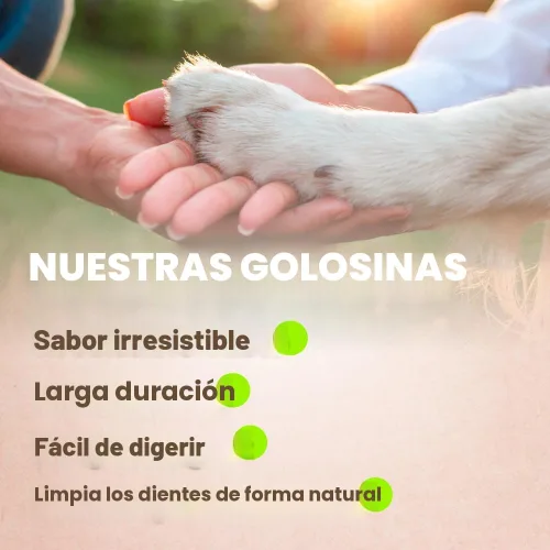 Vista 4 de AFreschi - Premios masticables de tendón de pavo para perros y cachorros, Signature Series, ingredientes de EE. UU., hipoalergénico, fácil