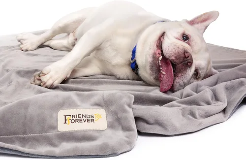 Vista 6 de Friends Forever Manta duradera para proteger el sofá, manta reversible de dos tonos, resistente al pelo de las mascotas, para perros, gatos, cama