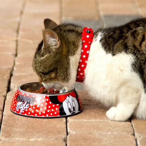 Vista 4 de Comedero para Perro Minnie Mouse Rojo Melamina 180 ml Negro Metal