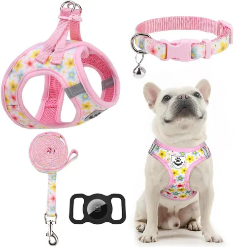 Vista 17 de Arnés para cachorros de otoño de Acción de Gracias - Collar y correa para perro - Arnés de chaleco para perros pequeños de malla suave acolchada