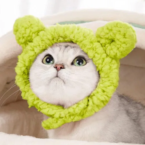 Vista 4 de JOICEE - Lindo disfraz de gato - Cálido sombrero de oso para mascotas pequeñas (color aguacate)