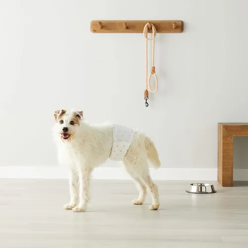 Vista 7 de Amazon Basics Pañales para perros machos, 30 unidades, medianos, ultra absorbentes, desechables, con ajuste seguro, a prueba de fugas y cómodos