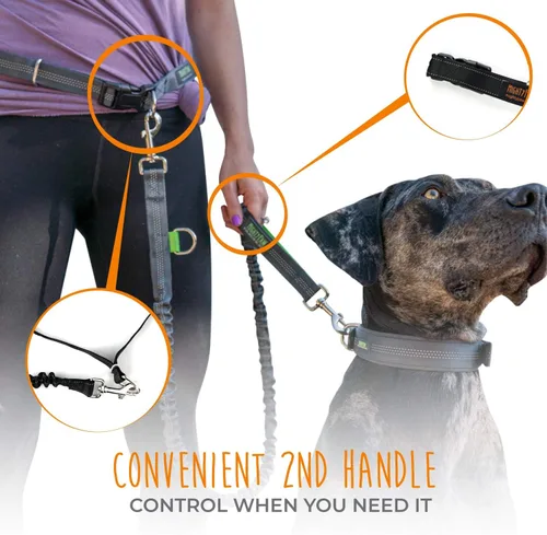 Vista 6 de Mighty Paw Correa de Perro Sin Manos Correa de Cintura Elástica para Pasear Perros. Correa Sin Manos para Correr con Mascotas para Razas Grandes