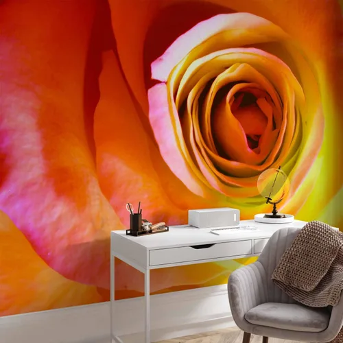 Vista 6 de artgeist Mural de pared Rosa de 157 x 122 pulgadas - Papel tapiz no tejido XXL, decoración de pared de forro polar, impresión fotográfica, diseño