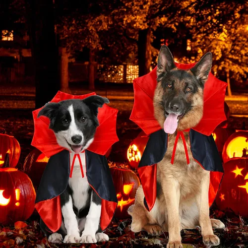 Vista 6 de GOYOSWA Disfraz de Halloween para perro, disfraz de vampiro, capa de vampiro, capa de vampiro, disfraz de Halloween para perros pequeños, medianos