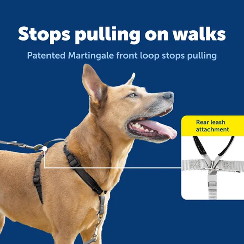 Vista 3 de PetSafe Arnés 3 en 1 con correa de control de dos puntos, arnés sin tirones, pequeño, negro, ajustable