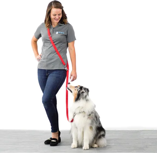 Vista 5 de Blue-9 Correa multifunción para perro manos libres, doble accesorio de 6 pies, correa ajustable para obediencia, correr y entrenamiento de agilidad