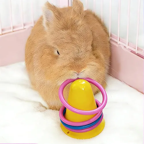 Vista 4 de Juguete interactivo de conejo para conejos, anillo de conejo, anillo de entrenamiento de 5 conejos, juguete adecuado para juegos en interiores