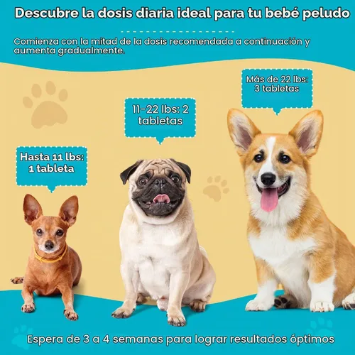 Vista 6 de Wanderfound Pets Same 100 soporte hepático para perros – Mismo suplemento hepático S-adenosil-L-metionina para apoyo hepático y cerebro – Sam E