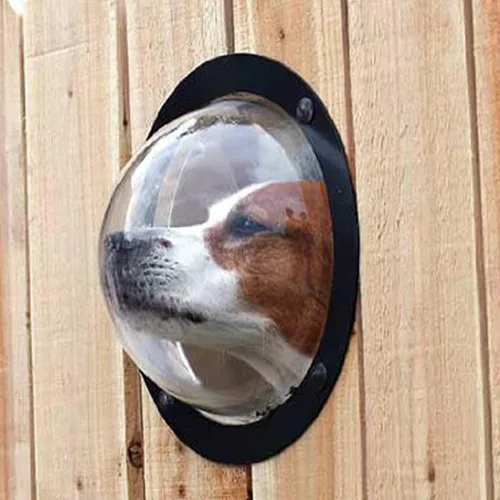 Vista 7 de Ventana en Valla para Mascotas de Petpeek