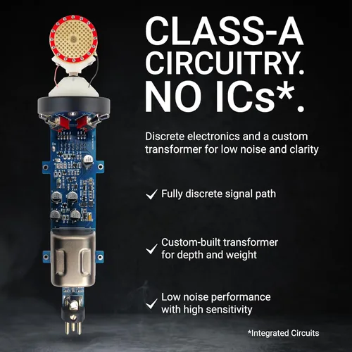 Vista 5 de SE ELECTRONICS sE2200 Micrófono de condensador cardioide de diafragma grande con soporte de choque y filtro - Micrófono condensador XLR para voces