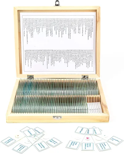 Vista 6 de AmScope M162C-2L-PB10-WM-SP14-50P100S 40X-1000X Kit de microscopio para principiantes para niños y estudiantes con kit completo de accesorios