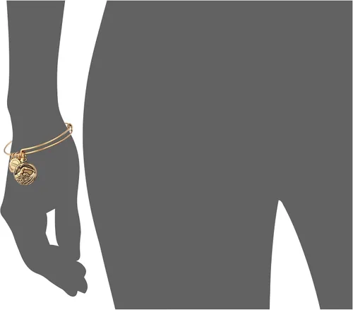 Vista 4 de Alex and Ani Team USA - Pulsera extensible para natación