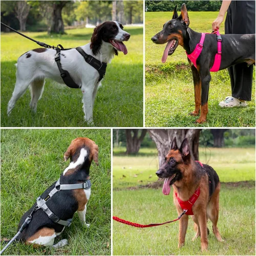Vista 6 de Plutus Pet Arnés sin tirones para perro, arnés reflectante ajustable con asa, a prueba de escapes, acolchado suave para perros pequeños, medianos