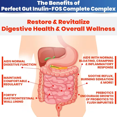 Vista 4 de Perfect Gut: Polvo de inulina FOS para la salud intestinal. Inulina prebiótica. Fibra de agave prebiótica única 95% FOS
