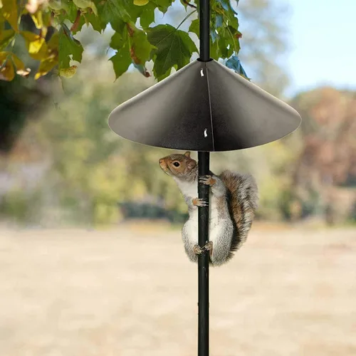 Vista 4 de Deflector envolvente de ardilla para poste de comedero de pájaros, protector único de 16 pulgadas, protege los comederos colgantes para pájaros