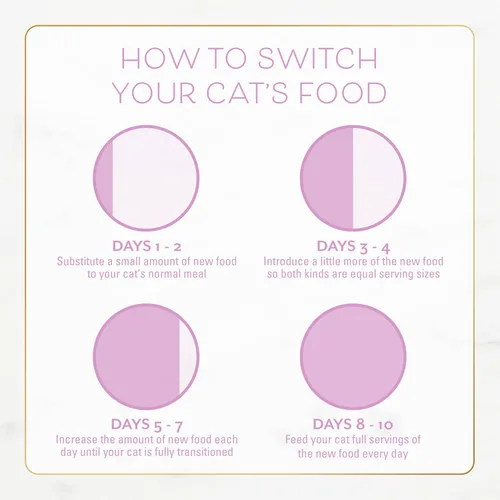 Vista 11 de Purina Fancy Feast - Comida seca para gatitos con pollo y pavo salado - Bolsa de 1.4 kg