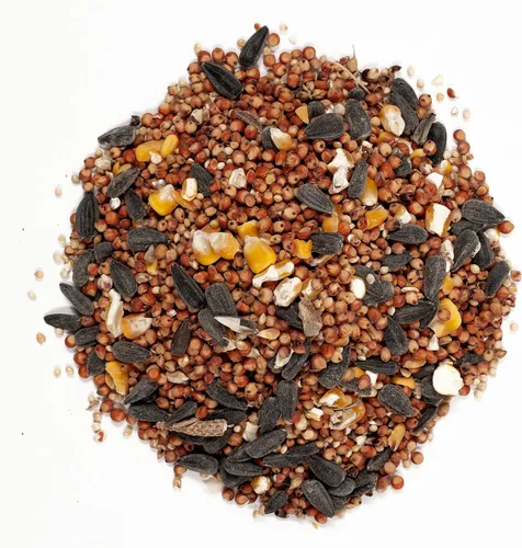Vista 3 de Wagner's 53003 Farmer's Delight - Alimento para pájaros silvestres con sabor a cereza, bolsa de 20 libras