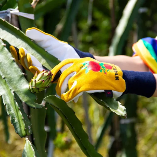 Vista 7 de Cactus Gloves, 2 Layers Leather Palm, Deerskin Back Women Gardening Gloves Amarillo y blanco