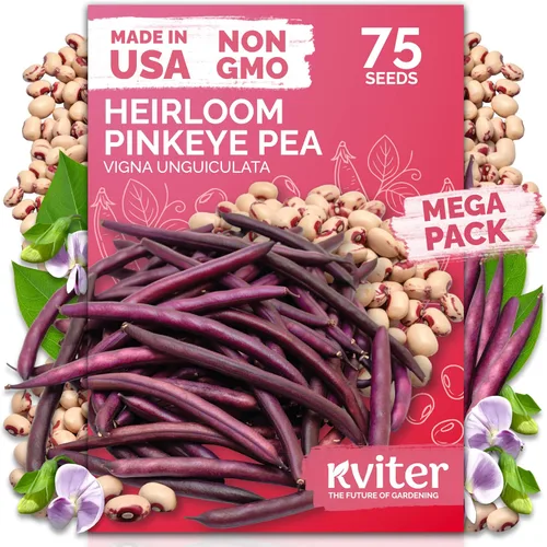 Vista 17 de KVITER 3000 semillas de espinaca egipcias - Molokhia (Corchorus Olitorius) - Hojas de yute, Ewedu, Día de Rau, Semillas de vegetales Saluyot
