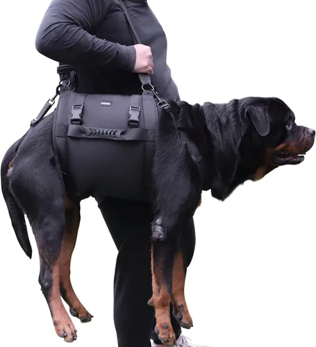 Vista 7 de Arnés de elevación para perros, mochila de emergencia para soporte de patas y rehabilitación para perros grandes, lesiones en las articulaciones