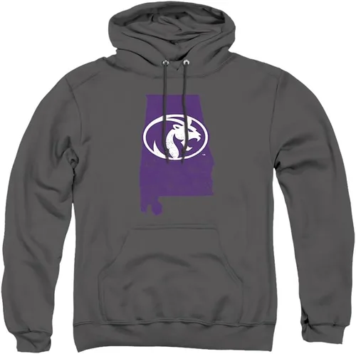 Vista 98 de LOGOVISION Colección de sudaderas con capucha unisex con diseño de forma universitaria oficial para hombres y mujeres
