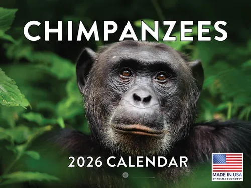 Vista 55 de Calendario mensual de pared de alpaca 2025 Fabricado en Estados Unidos