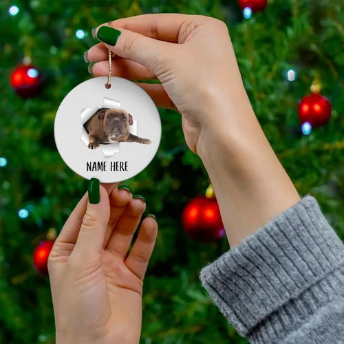 Vista 3 de Adornos de árbol de Navidad rojos con nombre personalizado, diseño de matón americano, decoraciones de cerámica, regalos para amantes de los perros