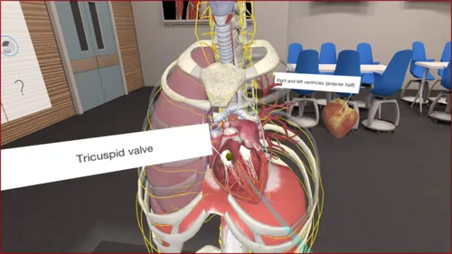 Vista 4 de 3D Organon VR Anatomy - Instant Access