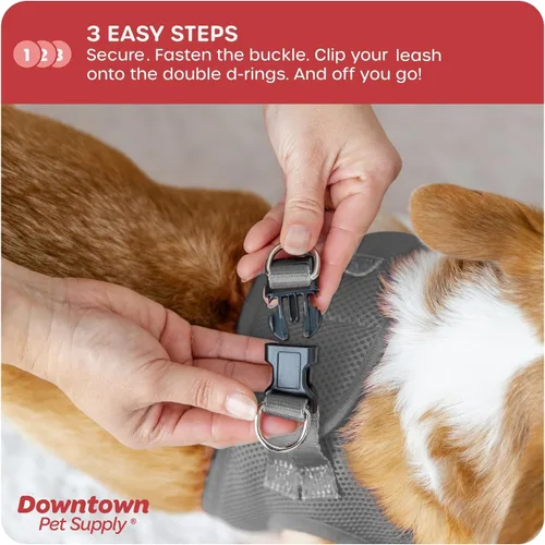 Vista 45 de Downtown Pet Supply Arnés para perro Step-in – Sin tirones, malla acolchada ajustable con ribete reflectante, correa de hebilla segura – Arnés