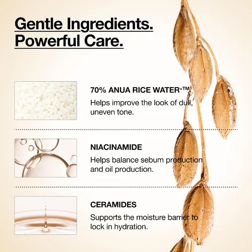 Vista 4 de ANUA Rice 70 Glow Milky Toner, para piel de vidrio, agua de arroz, niacinamida, ceramidas, pantenol, sin fragancia, no comedogénico, seguro