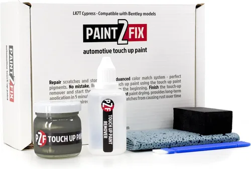 Vista 95 de 6061 - Kit de pintura de retoque satinado blanco para reparación de arañazos y virutas Bentley, 0.84 onzas líquidas (0.8 fl oz)