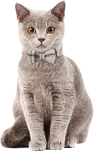 Vista 4 de Faleela Juego de 2 collares de gato con corbata de moño y campana, collar de camisa a cuadros para gatito ajustable de seguridad