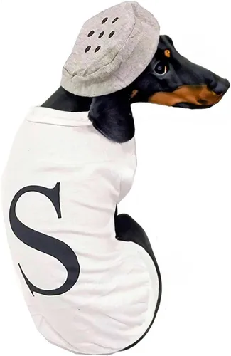 Vista 7 de Disfraz de sal y pimienta para perro, disfraz de Halloween para perro, cosplay, sal y pimienta (negro, mediano)