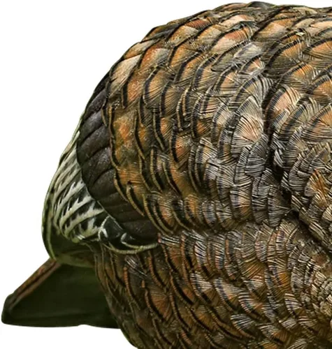 Vista 6 de Avian X LCD alimentador gallina pavo señuelo