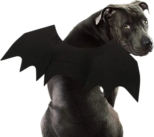 Vista 11 de Rypet - Disfraz de murciélago para perro, disfraz de mascota de Halloween, alas de murciélago para gatos y perros, XS