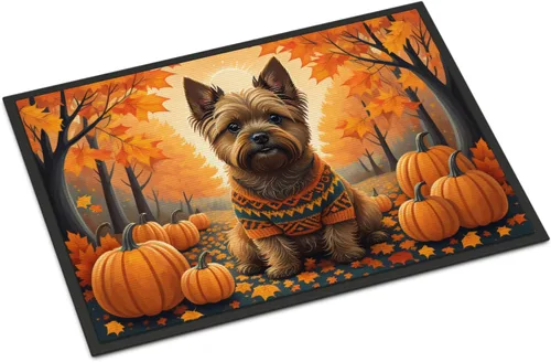 Vista 69 de Caroline's Treasures DAC1041MAT - Tapete de algodón de Tulear para puerta delantera, 18 x 27 pulgadas, para interiores y exteriores, para entrada