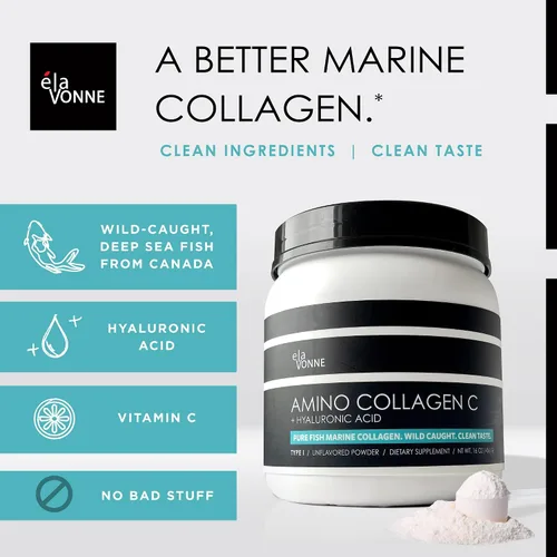 Vista 2 de Amino colágeno C con ácido hialurónico (60 porciones 16oz_16.08 oz) – Péptidos de colágeno marino sin OMG – Polvo hidrolizado – Sin sabor – Sin