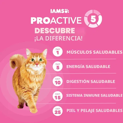 Vista 5 de Iams IAMS PROACTIVE HEALTH - Alimento seco para gatos adultos para digestión sensible y piel con pavo real, croquetas para gatos, bolsa de 3 libras