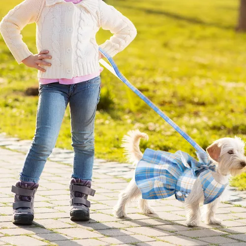Vista 6 de Potchen Juego de 4 piezas de bonito vestido a cuadros para perro con arnés de lazo y correa para perros pequeños, ropa de cachorro para niñas