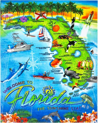 Vista 4 de Florida Beach Blanket 54 x 68 inch Beach Towel 100% Cotton Family Size (Florida Fun Map, One Towel)