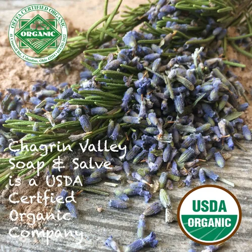 Vista 6 de Chagrin Valley Soap & Salve - Barra de champú, coco, sin perfume, orgánico, vegano, rizado y todo tipo de cabello, 5.6 oz (159 g), embalaje
