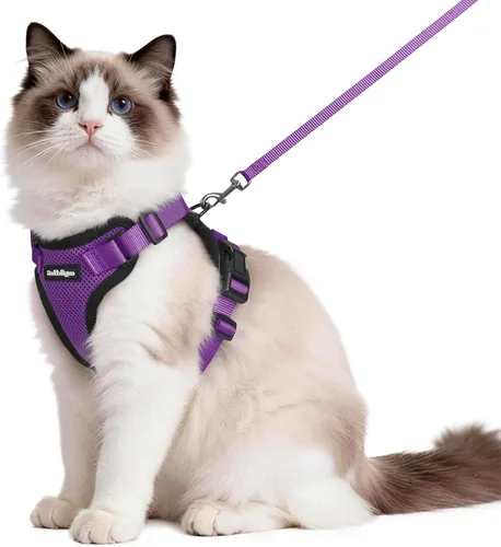Vista 97 de rabbitgoo Cat Harness and Leash Set, Escape Proof Vest, XXS, Berry Pounce Soft Breathable Mesh, No-choke Adjustable Fit, Snap Buckles, Sturdy