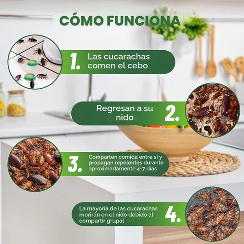 Vista 2 de 24 Pack de cebo de gel para cucarachas y asesino de cucarachas para interiores para el hogar, poderoso cebo repelente de cucarachas y trampa