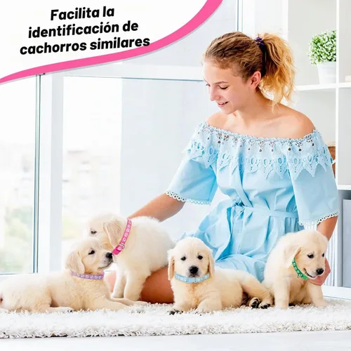 Vista 7 de BOUMUSOE 18 collares ajustables para cachorros de arena para cachorros